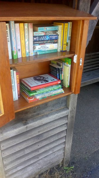 imagesGalleryTiny Library 3.jpg